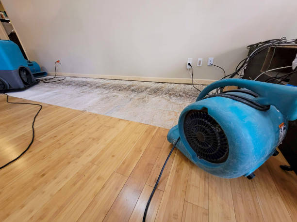 Professional Emergency Water Damage technician working in Ann Arbor, MI